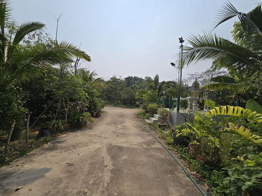 ที่ดิน บ้าน พร้อมโกดัง  4