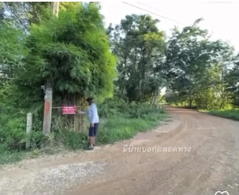 ขายที่ดินเปล่าหล่มสัก 4