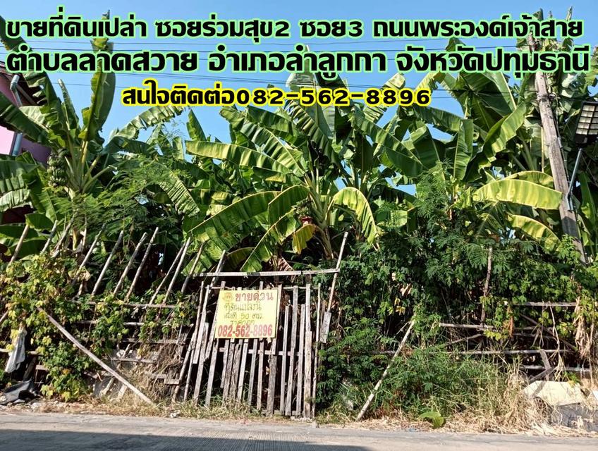 ขายที่ดินเปล่า ซอยร่วมสุข2 ซอย3 ถนนพระองค์เจ้าสาย 1