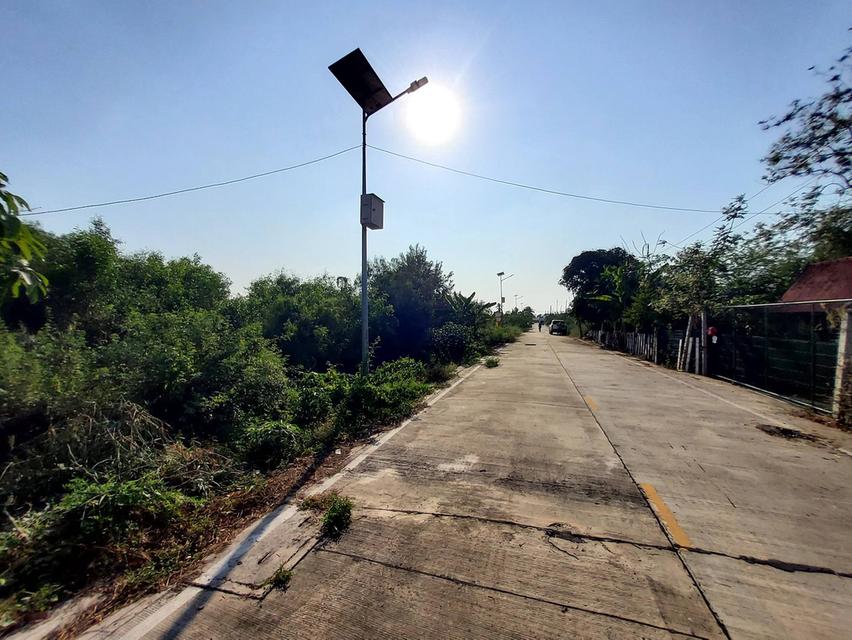 ขายด่วนที่ดินถนนฤชุพันธุ์ 568 ตรว ติดถนนคอนกรีตสาธารณะ ซ.ฤชุพันธุ์ 4 อ.ไทรน้อย จ.นนทบุรี 3