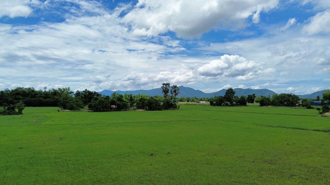 ที่ดินสวย วิวภูเขา จ.อุทัยธานี 7