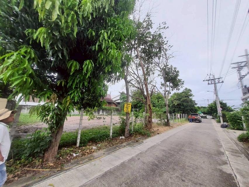 Vายด่วน ที่ดินใกล้โรบินสันศรีสมาน 200 ตารางวา ติดถนนคอนกรีตสาธารณะ ถมแล้ว ซอย จุฬา 3 อ.ปากเกร็ด จ.นนทบุรี 4