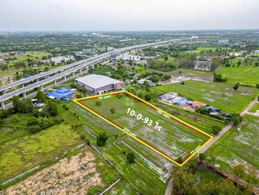 ที่ดิน 10-0-93 ไร่ หนองนาก สระบุรี แบ่งขายได้ 1