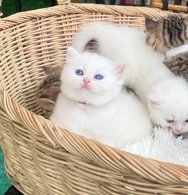 ❌น้องยูริ (ได้บ้าน)