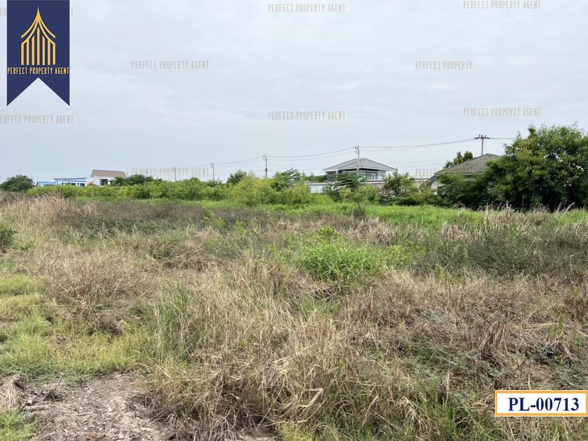 ขายที่ดิน 77ไร่ แบ่งได้ สีม่วงเข้ม สร้างโรงงาน บางบ่อ สมุทรปราการ ใกล้นิคมเวลโกรว Wellgrow Industrial Estate 2