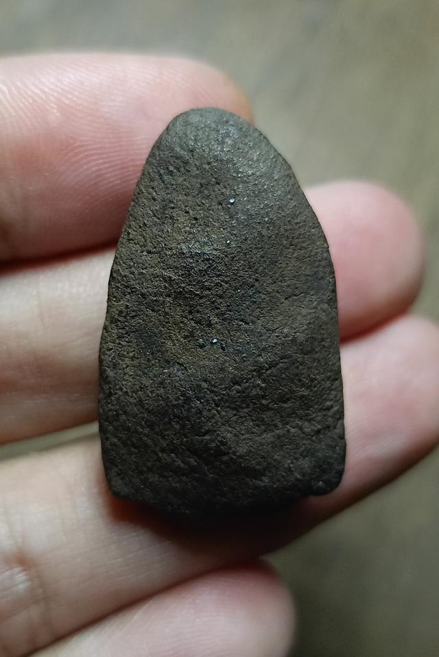 หลวงปู่ทวดเนื้อว่านเก่า