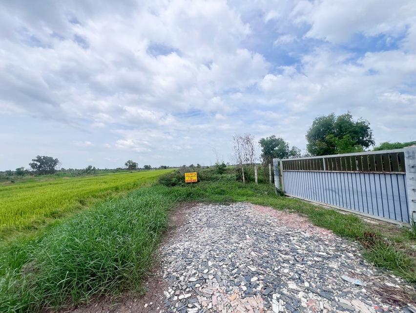 ขายที่ดินเปล่า1 ไร่ ถนนเลียบคลองหนองขุม ใกล้มศว องครักษ์ นครนายก 4