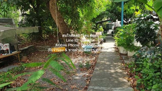 DSL-671 ต้องการขาย ที่ดิน ขายที่ดินบ้านสวนแปลงใหญ่ ใจกลางเมือง เนื้อที่ 493 ตร.ว. (ใกล้ MRT พระราม 9) 120 ล้านบาท 1 Rai  3