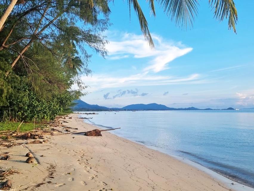 ขายที่ดินติดทะเล / Beach fornt Land for sale  3