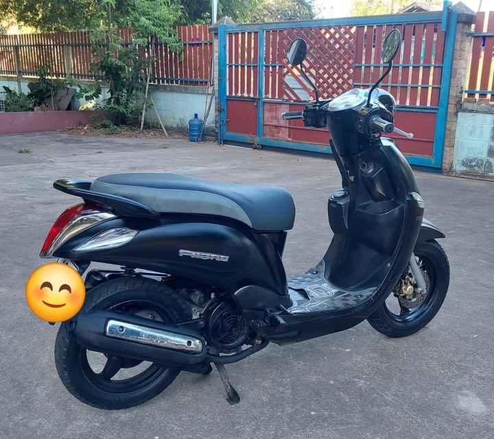 ฟีลาโน่ filano ฟีลาโน่ 6