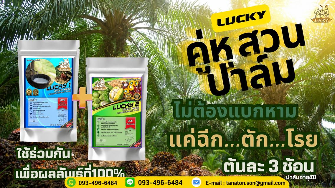 LUCKY ลักกี้ ธาตุอาหารพืชสูตรเข้มข้นชนิดเกล็ด 💥🌱 1 กิโล
