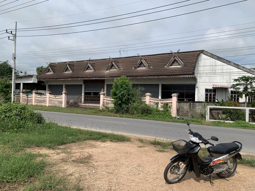 ขายที่ดินพร้อมโกดัง ด้านหน้าติดถนน ม.2 ต.ป่าซาง ออ.ป่าซาง จ.ลำพูน 4