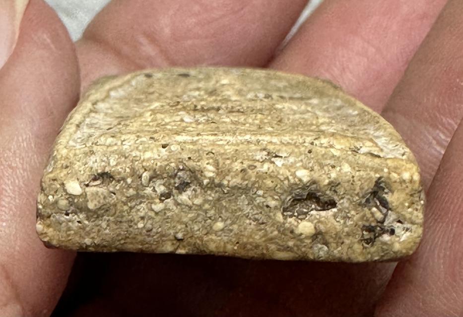 พระสมเด็จ เนื้อเก่าๆมวลสารเยอะ 6