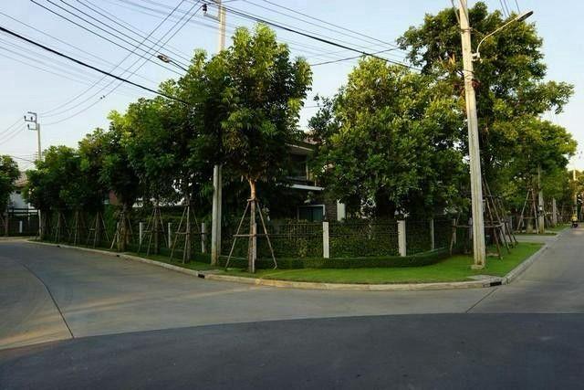 ให้เช่า ขาย บ้านเดี่ยว หมู่บ้าน บุราศิริ ราชพฤกษ์-345 ถนนราชพกฤษ์ ซอยวัดสลักเหนือ นนทบุรี ปากเกร็ด 15
