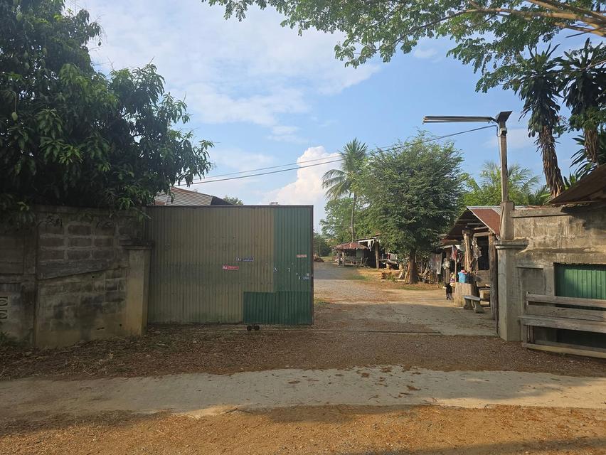 ขายที่ดินพร้อมโรงงานและบ้าน 1