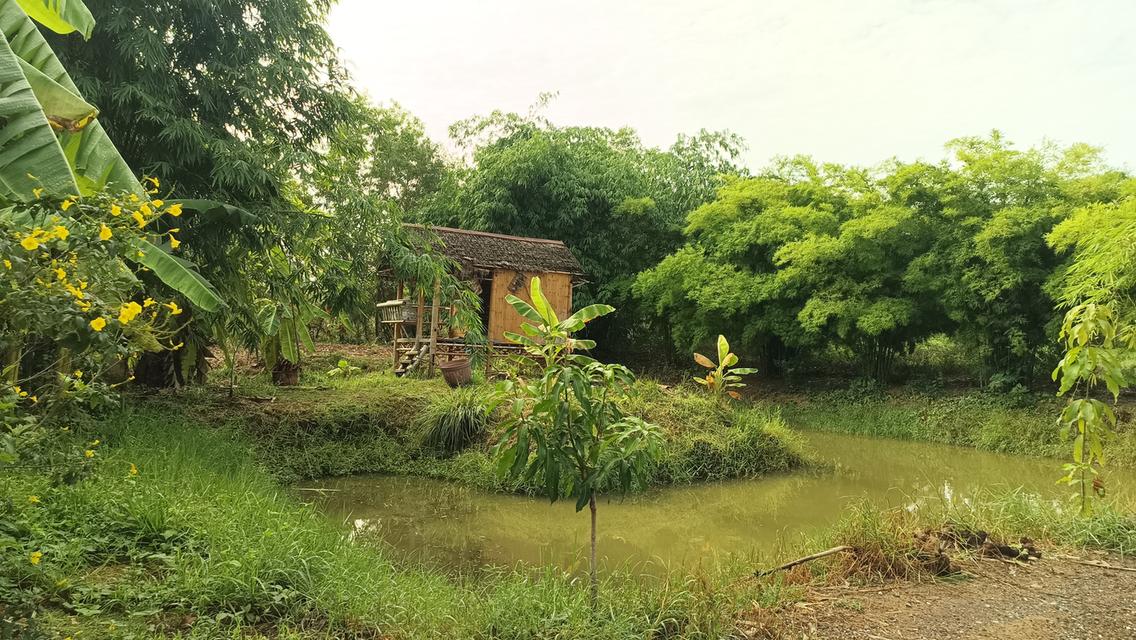 ที่ดินบ้านพร้อมอยู่ 1ไร่1งาน33 ตรว. 9