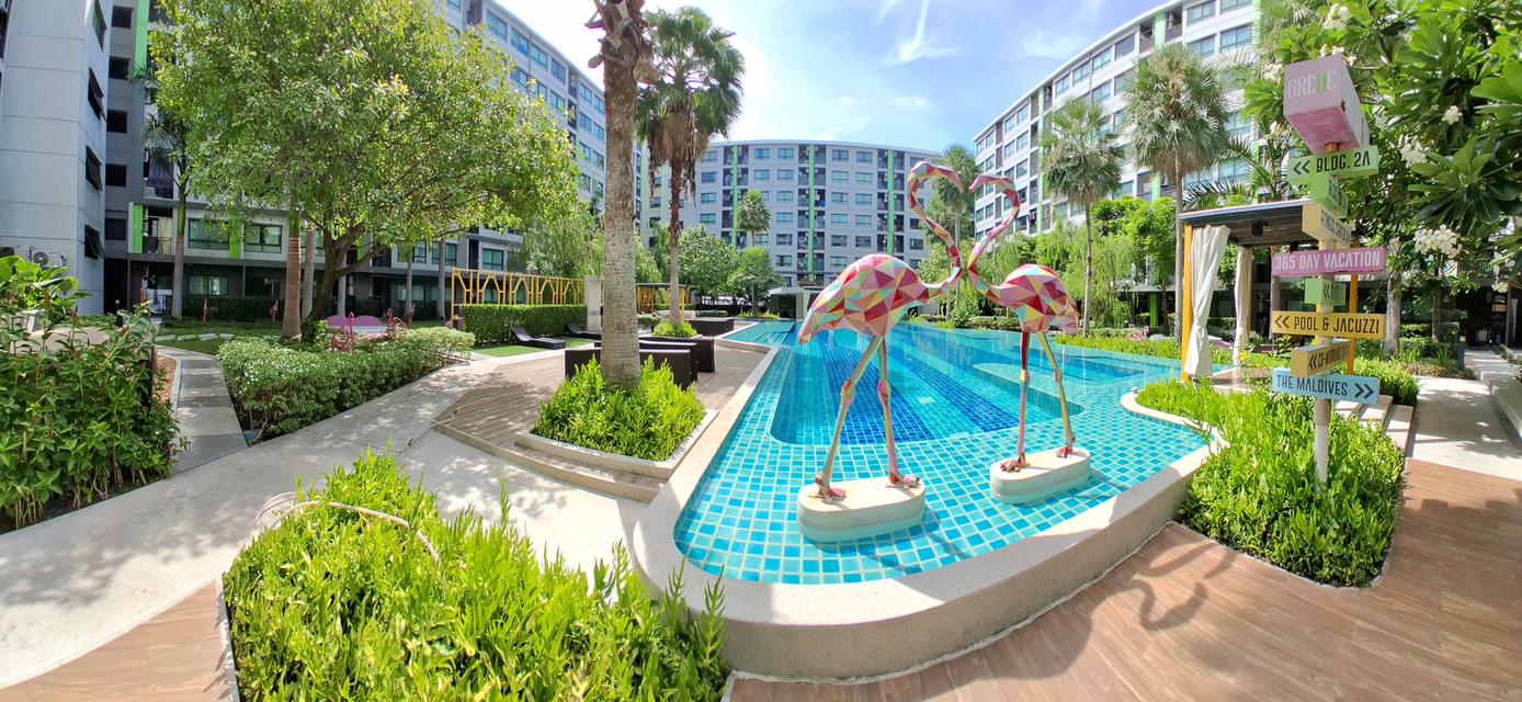 ให้เช่า กรีเน่คอนโด ดอนเมืองสรงประภา วิวสระ 34sq.m.9,500 13