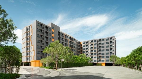 ขายดาวน์ Dcondo Sense บางแสน ราคาพิเศษ! 1 ห้องนอน 1 ห้องน้ำ ขนาด 28.25 ตร.ม. โทร 093-1681685