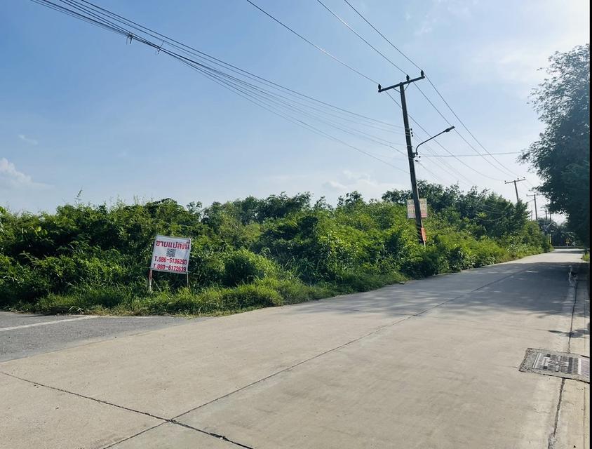 ที่ดิน 3