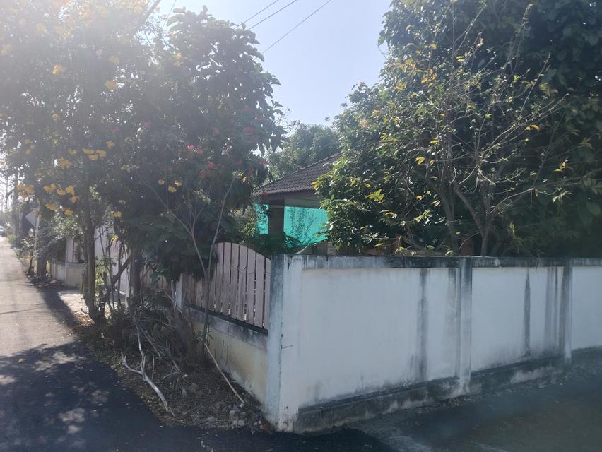 บ้านเดี่ยวพร้อมที่ดิน 3