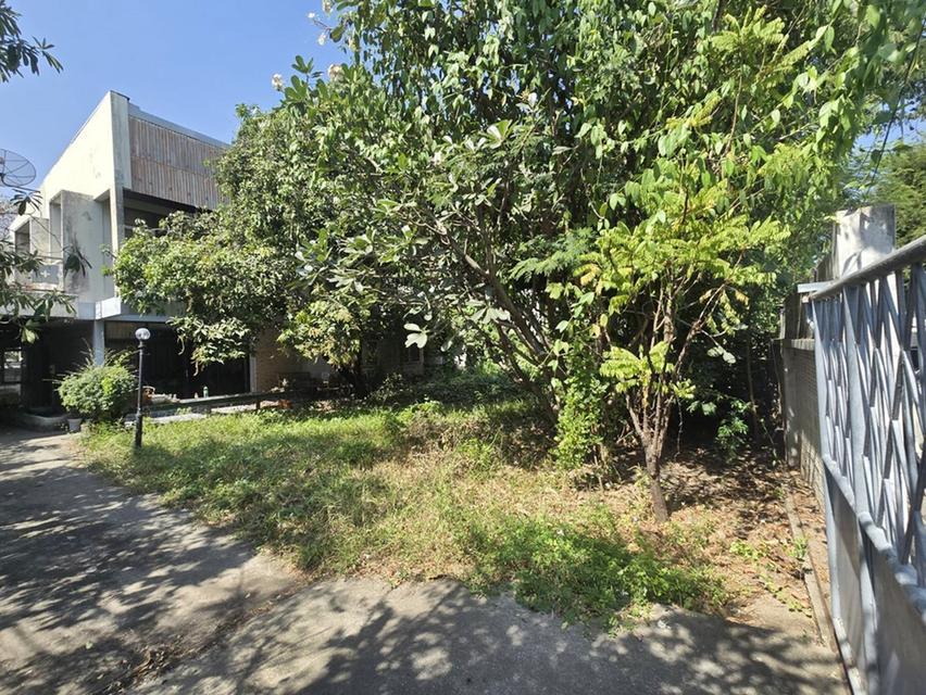 ขาย ที่ดิน พร้อมสิ่งปลูกสร้าง 142 ตร.ว. พัฒนาการ 38 พระโขนง กรุงเทพฯ 6