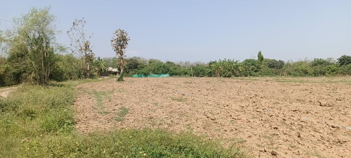 บ้านพร้อมที่ดินจังหวัดลำพูน 2
