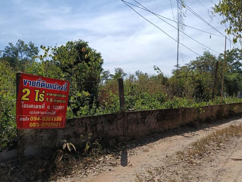 ขายที่ดิน โฉนด ติดร้านอาหารครัวริมบึงโง้ง เนื้อที่ 200 ตร.ว. 9