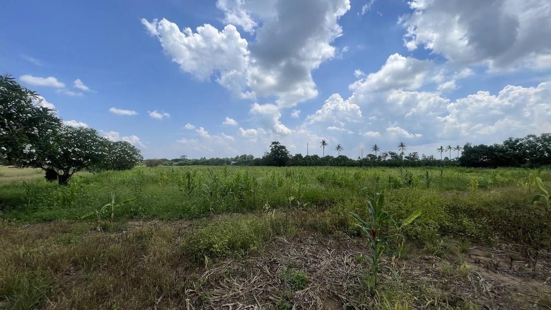 ขายที่ดิน 7 ไร่ ปากช่อง-เขาใหญ่ (แบ่งขายได้) ติดถนนธนะรัชต์ ใกล้ทางขึ้นลง มอเตอร์เวย์ M6 2