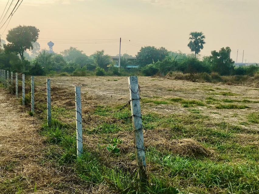 ที่ดิน จังหวัดอ่างทอง 4