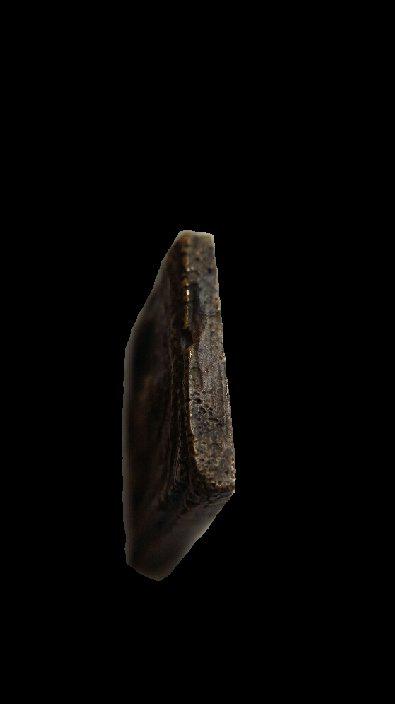 เหรียญหล่อโบราณ หลวงปู่ศุข วัดปากคลองมะขามเฒ่า พิมพ์ทรงครุฑ ออกวัดคลองขอม 5