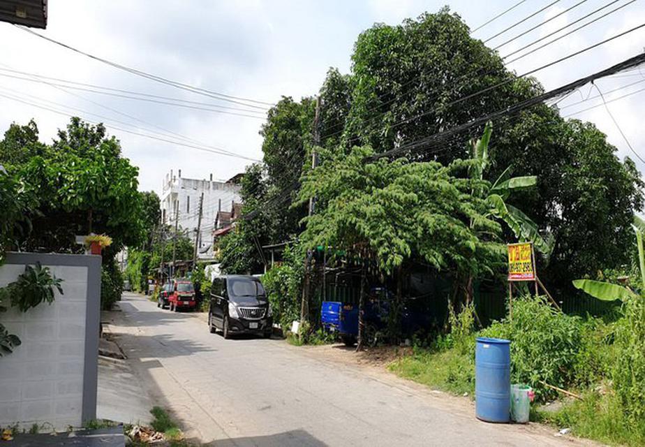 ขายที่ดิน คลองกุ่มนิเวศน์ ซอยเสรีไทย 41 ถนนเสรีไทย เขตบางกะปิ กรุงเทพมหานคร 3
