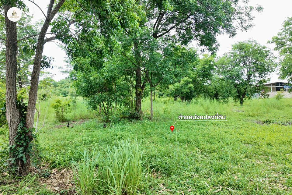 ขายบ้านพร้อมที่ดิน 2 ไร่ 2 งาน 19 ตร.ว. โฉนดครุฑแดง วิวภูเขา ต.วังชมภู เพชรบูรณ์ 7