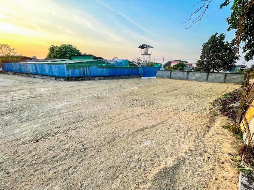 ขายที่ดินหนองปรือพัทยา เนื้อที่ 204 ตรว. ถมแล้วซอยสันติสุข4 ใกล้ห้างเทอร์มินอล ใกล้หาดจอมเทียน7กม. อ.บางละมุง ชลบุรี 3