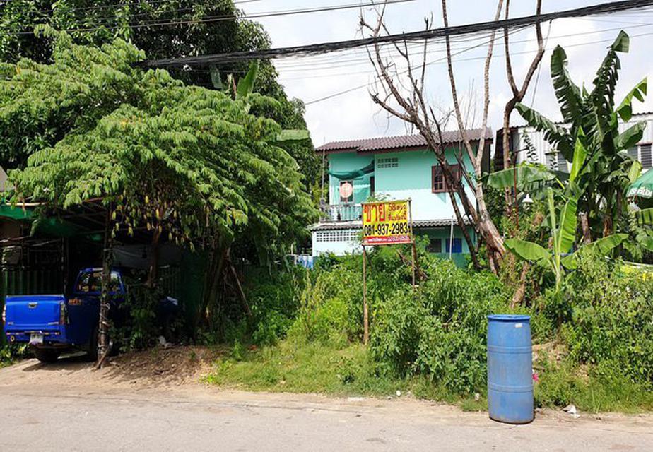 ขายที่ดิน คลองกุ่มนิเวศน์ ซอยเสรีไทย 41 ถนนเสรีไทย เขตบางกะปิ กรุงเทพมหานคร 2