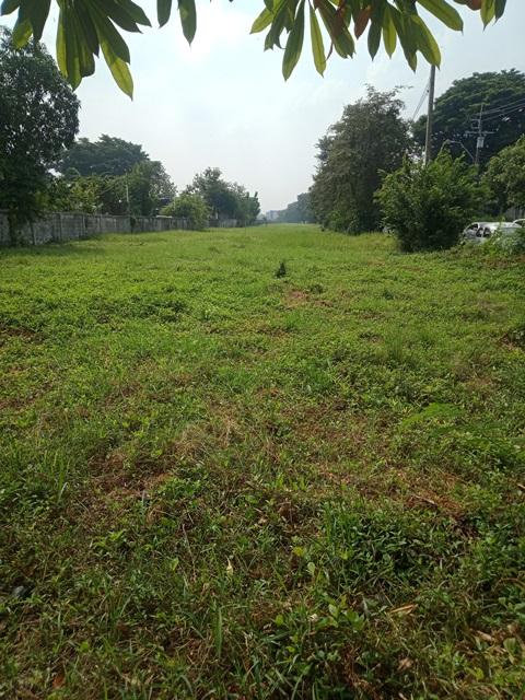 ขายที่ดินแบ่งแปลง ติดถนนรามคำแหง ซอย 150 8