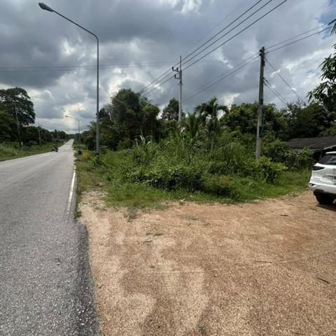 ขายที่ดินนิคมพัฒนาระยอง ขายที่ดินระยองเนื้อที่ 10 ไร่ ต.พนานิคม อ.นิคมพัฒนา จ.ระยอง ผังสีม่วงลาย 3