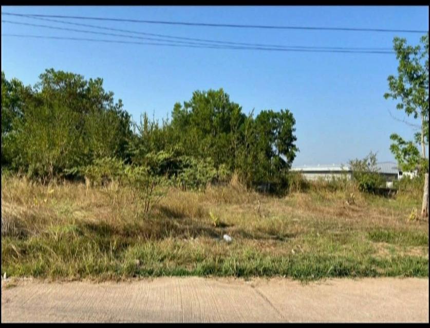 ที่ดิน6ไร่ทำเลใหม่ติดถนนบายพาสในเมืองนครพนม 6