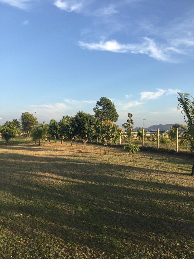 ขายที่ดินพร้อมสิ่งปลูกสร้าง เนื้อที่ 3 ไร่ 1 งาน 94 ตารางวา ตำบลพุแค จังหวัดสระบุรี 12