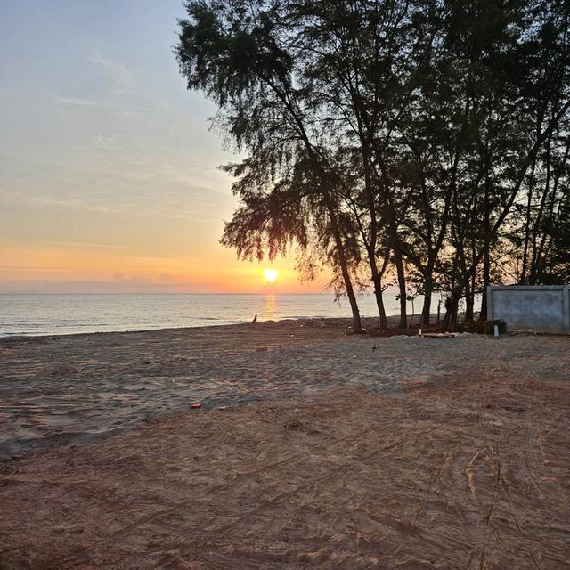 ขายที่ดินหน้าติดทะเล หลังติดถนน หาดพุมเรียง อ.ไชยา 12