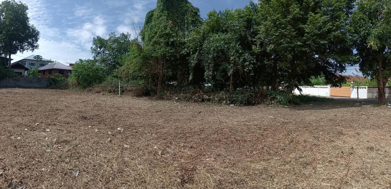 ที่ดิน ในเมืองขอนแก่น (211.9 ตร.วา) 7