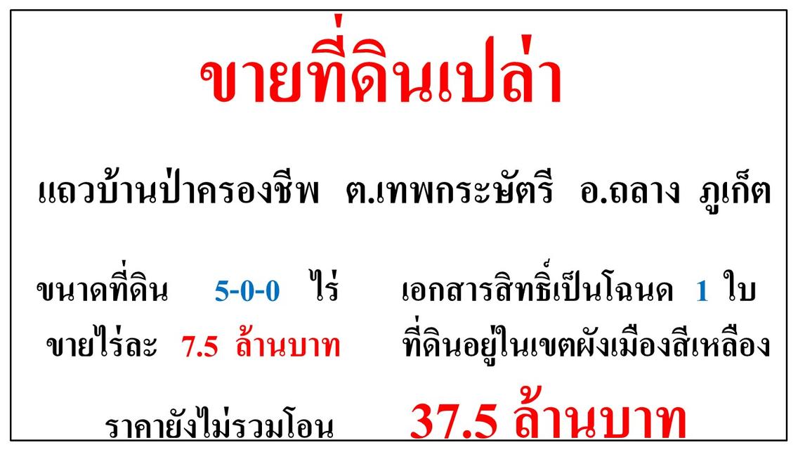 ขายที่ดินเปล่า ขนาด 5-0-0 ไร่  แถวบ้านป่าครองชีพ  ต.เทพกระษัตรี  อ.ถลาง  ภูเก็ต 1