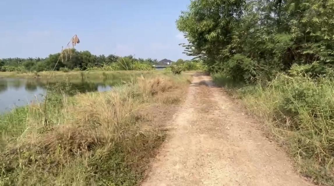 ขายที่ดิน วิหารแดง สระบุรี 2