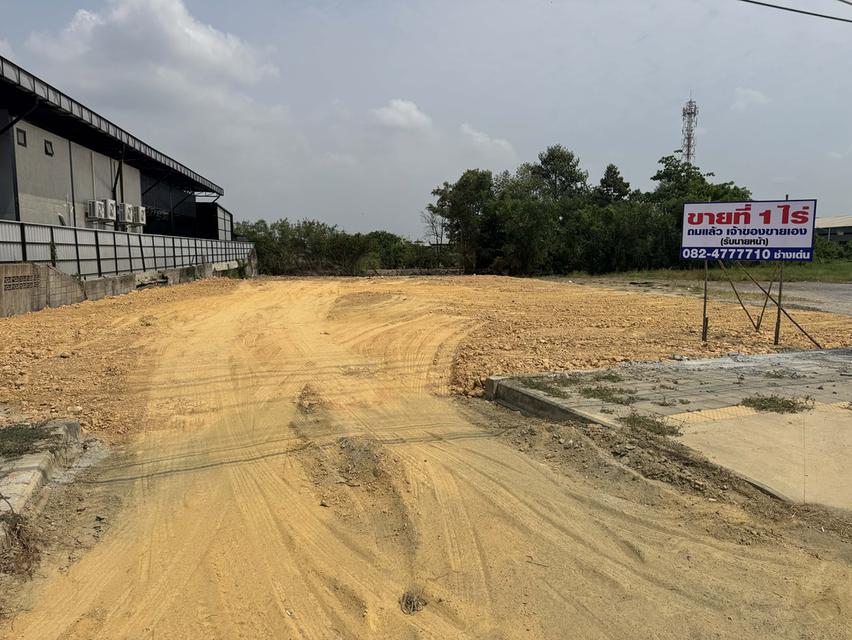 ที่ดินเปล่า ทำเลดี ติดถนน 4