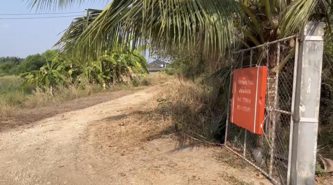 ขายที่ดิน วิหารแดง สระบุรี 8