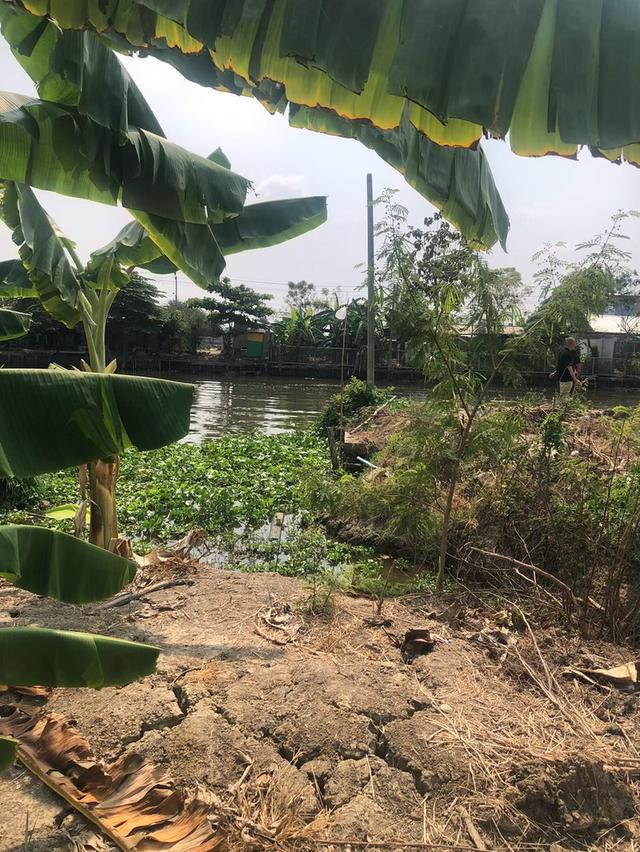 ขายที่ดินสวยรมน้ำคลองบางใหญ่ จังหวัดนนทบุรี  จำนวน 3 ไร่ 12