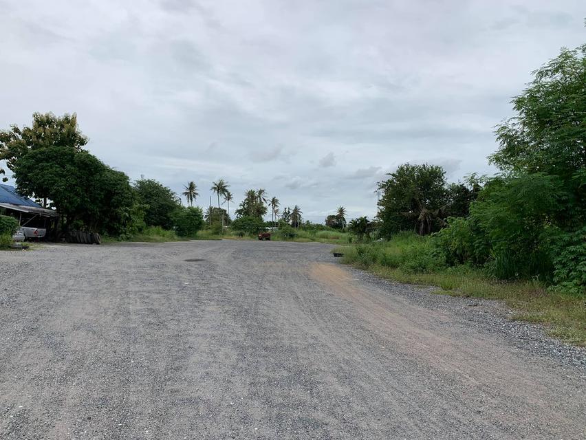 ขายที่ดินหนองมะนาว ซอยทุ่งกราด 4 ไร่ ถมแล้วติดถนนคอนกรีต ใกล้ถ.สุขุมวิท(3)-2 กม. ใกล้ท่าเรือแหลมฉบัง-8 กม. ชลบุรี 9