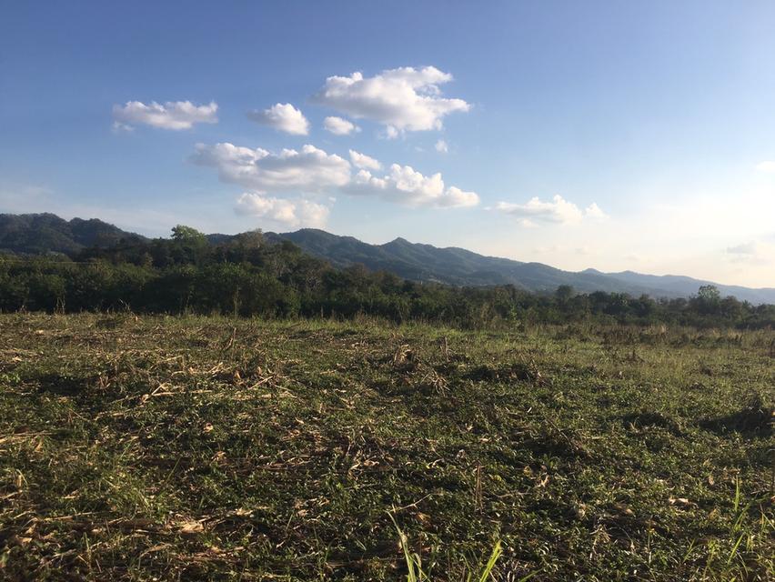 ขายที่ดินแปลงเดียว สูงกว่าถนน 42 ไร่ วิวภูเขา 360 องศา ที่ดินเป็นเนินหลังเต่า มองวิวทิวทัศน์รอบด้านเหมือนพญาอินทรีย์ครับ 5