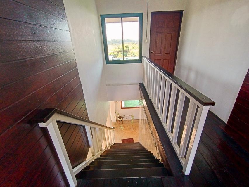 บ้านในสวนว่างให้เช่า 15