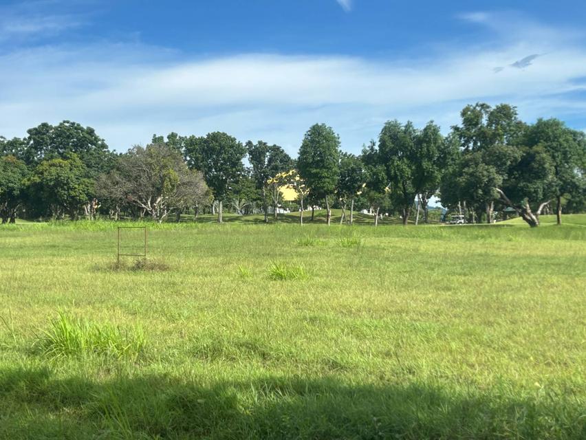 Land for sale in the Phoenix Golf and Country Club Pattaya 3