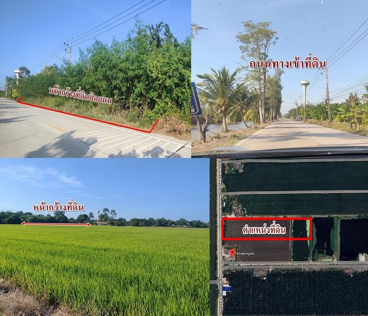 ขายที่นา10ไร่ หนองเสือ คลอง9 ปทุมธานี ถนนคอนกรีต2เลนส์ 12M 1